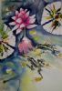 "Frogs in Pond"