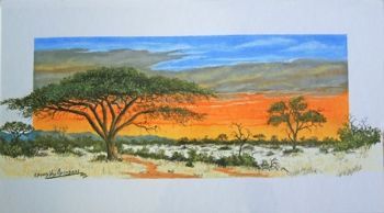 "Acasia Sunset "
