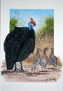 "Guineafowl"
