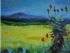 "Overberg July Aloe Canola Nr 3"