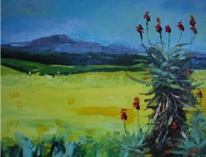 "Overberg July Aloe Canola Nr 3"