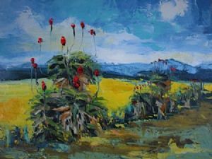 "Overberg July Aloe Canola nr 6"