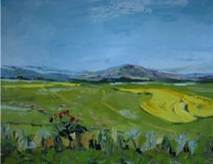 "Overberg July Aloe Sheep Canola"