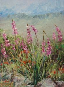 "Kogelberg fynbos"