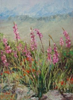 "Kogelberg fynbos"