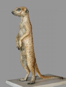"Stokstert Meerkat "