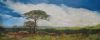 "Distant horizon Graskop"