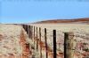 "Namibia #01"