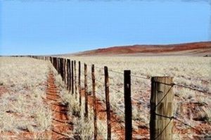 "Namibia #01"