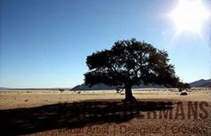 "Namibia #03"