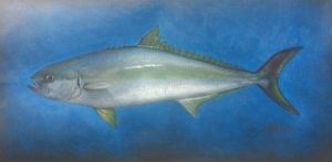 "King Fish"