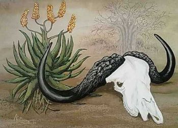 "Buffalo, Aloe and Baobab"