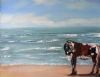 "Nguni on Beach"