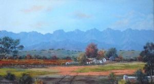 "Vineyards in Boland"