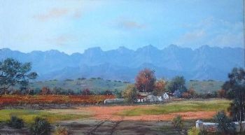 "Vineyards in Boland"