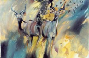 "Kudu"