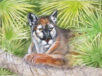 "Florida Panther Amongst the Palmetto"