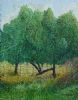 "Trees on our Farm"