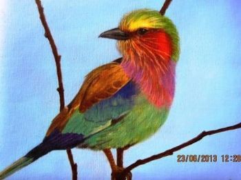 "Lilac-Breasted Roller"