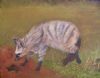 "Aardwolf"