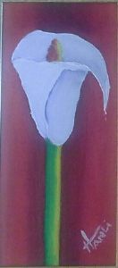 "Arum Lily"