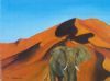 "Sossusvlei Elephant"