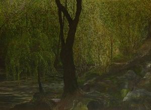 "Stream in a Forest"