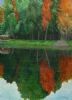 "Reflections in the River"