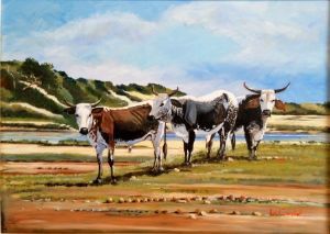 "Eastern Cape Cattle"
