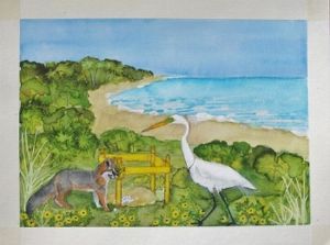 "12 Egret chases Mr Fox away"