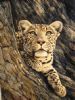 "LEP 011 Sky Eyes"