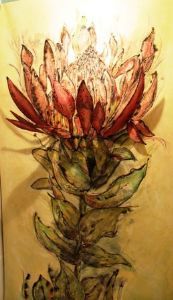 "Beauty from Ashes"