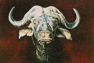 "Buffalo"