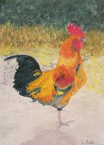"Fine Feathers"