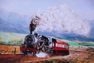 "Steam Loco"