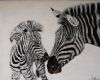 "Mother and Punk Zebra "