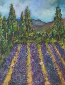 "Lavender Fields"