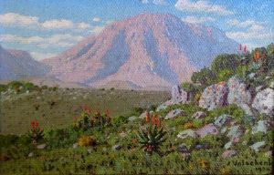 "Namaqualand"