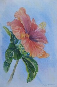 "Hibiscus in Full Bloom"