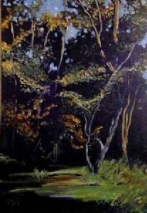 "Sunrise on Treetops"