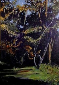 "Sunrise on Treetops"