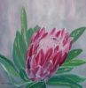 "King Protea"