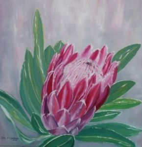 "King Protea"