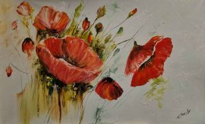 "poppy flowers"