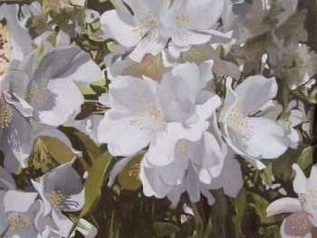 "648 Jasmine"