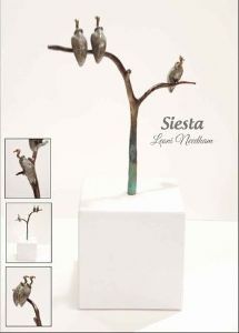 "Siesta Vulture Group"