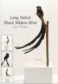 "Long Tailed Black Widow Bird"