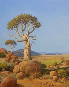 "Quiver Tree, Sentinel of Namaqualand"