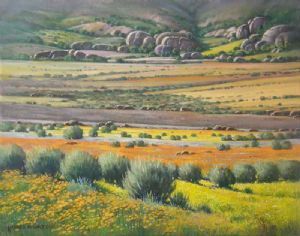 "Namaqua Scene with Reed-vlei"