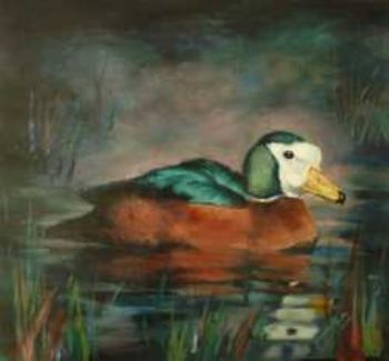 "White-faced Duck"